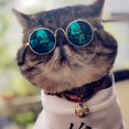 thumbnail image 3 of Hweilai Dog Sunglasses, UV Protection Glasses Sunglasses for Cat Dogs, 3 of 5