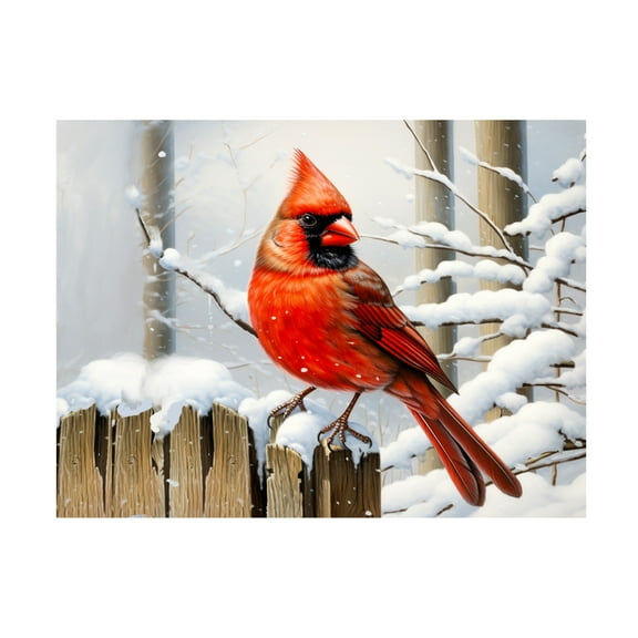 Canvas Wall Art - Stewart 'Snow Day Cardinal' Wall Art for Living Room, Bedroom, or Office Décor by Trademark Fine Art - 19 x 14 Inches