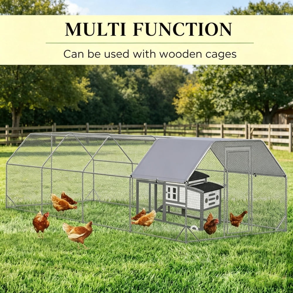 Chicken Coop