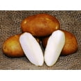thumbnail image 1 of Russet Burbank Potato - 6 Certified Seed Tubers, 1 of 1