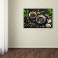 thumbnail image 3 of Trademark Fine Art 'Gardener's Tea' Canvas Art by Dina Belenko, 3 of 3