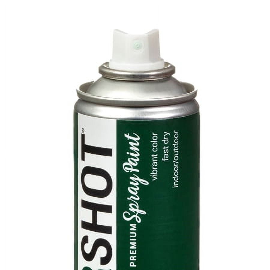 COLORSHOT Satin Spray Paint, Kale (Dark Green), 10 oz, Fast-Drying Acrylic Paint, Indoor & Outdoor Use