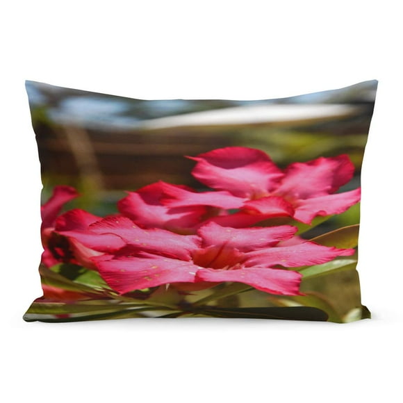 BOSDECO Colorful Flashy Pink Adenium Obesum Blossom Also Known As Pillowcase Pillow Cover Cushion Case 20x30 inch