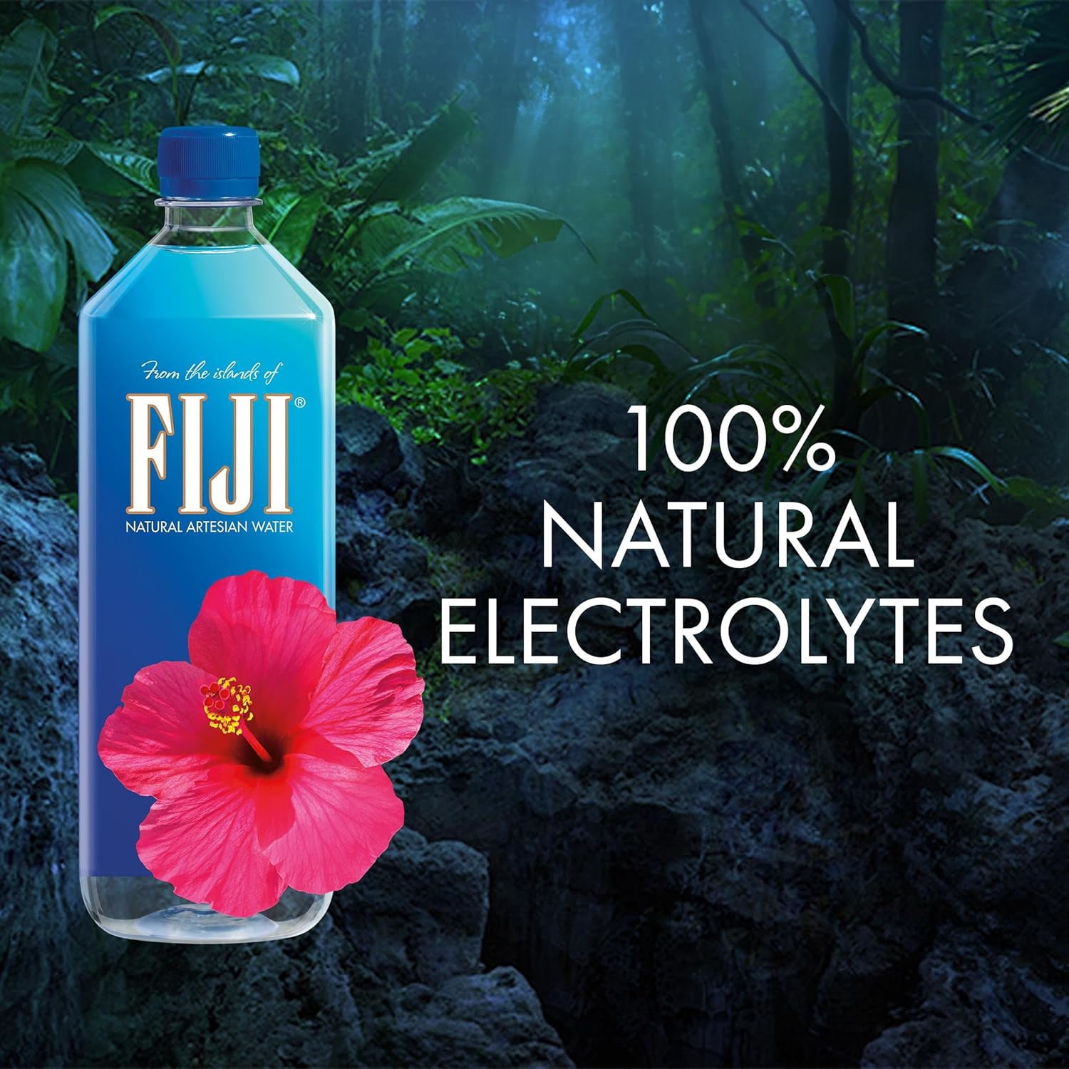 FIJI Natural Artesian Bottled Water 1 Liter / 33.8 Fl Ounce (Pack of 6)