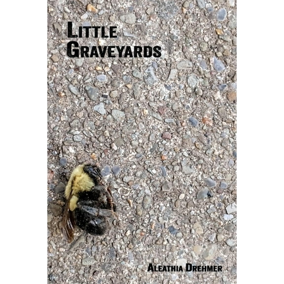 Little Graveyards, (Paperback)