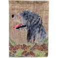 thumbnail image 1 of Caroline's Treasures SS4095CHF Irish Wolfhound Flag Canvas, Grand, Multicolore, 1 of 5