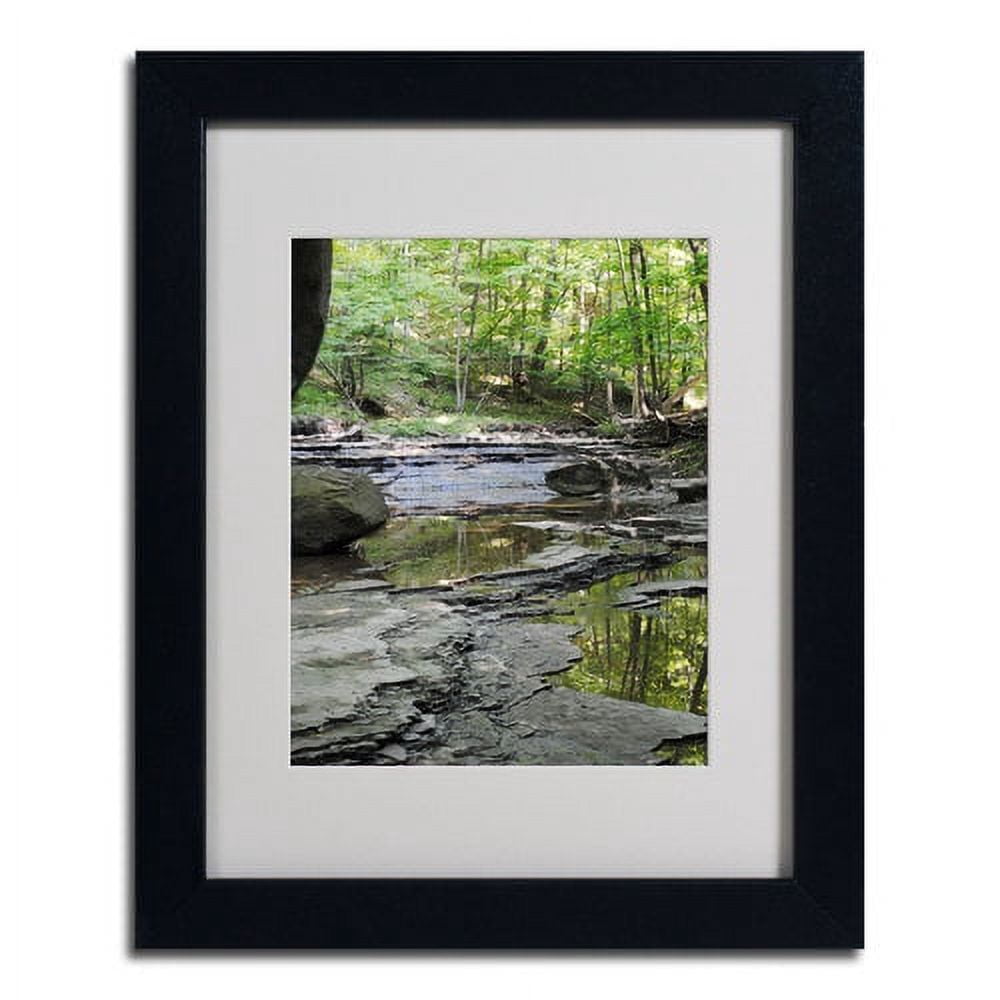 Trademark Fine Art "Crystal Rock" by Monica Fleet, Black Frame
