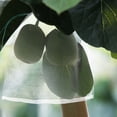 thumbnail image 1 of Bolsa protectora de malla de nailon, 50 Uds., para plantas, frutas, bolsa antiinsectos, 25*30cm (blanco), 1 of 8