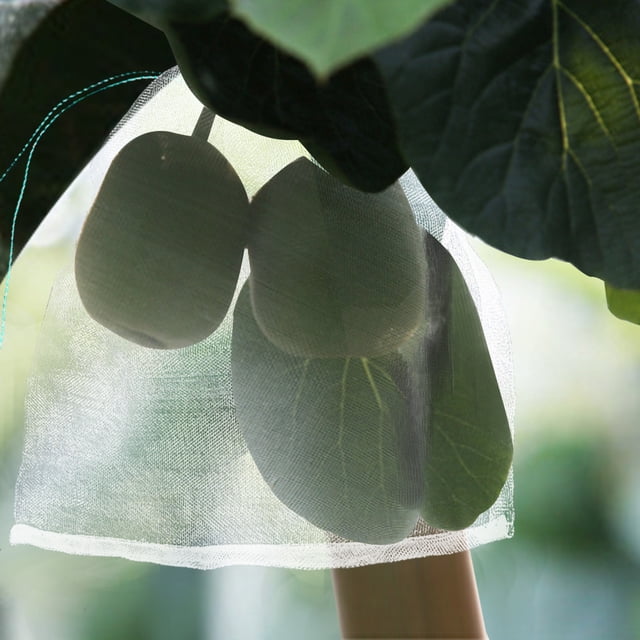 Bolsa protectora de malla de nailon, 50 Uds., para plantas, frutas, bolsa antiinsectos, 25*30cm (blanco)