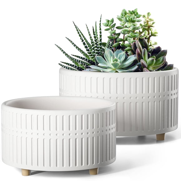 LE TAUCI Pot pour Succulentes, Ensemble de 2, Pots de Plantes en Céramique de 6,5+8 Pouces, Jardinières Peu Profondes pour Plantes d'Intérieur, Pots de Plantes d'Intérieur avec Trou de Drainage,