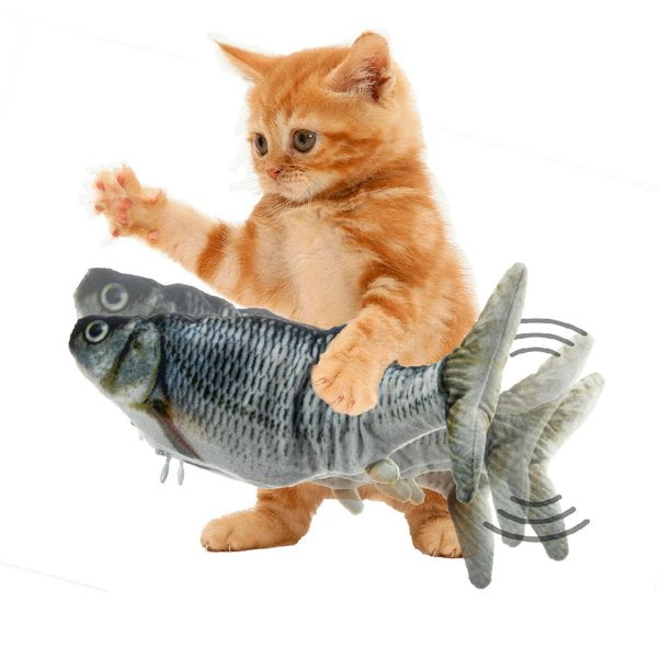 Moving fish for cats outlet