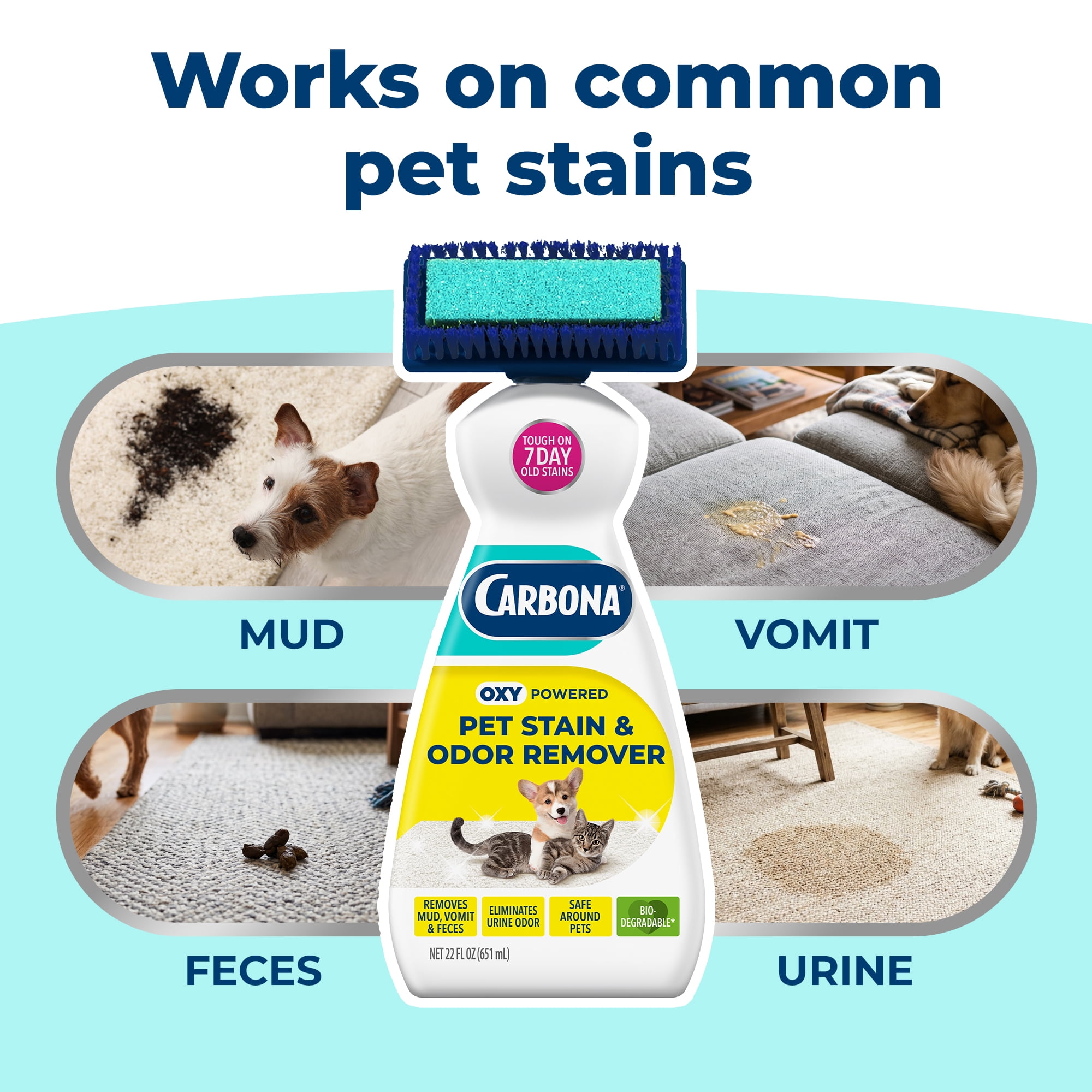 (2 pack) Carbona 2-in-1 Oxy-Powered Pet Carpet Cleaner & Odor Remover, Dual Brush Sponge, 22 Fl Oz