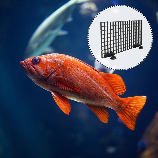 Raindrops 4Jgo Divisor De Acuario Negro En Rejilla Plástica Para Uso Y Instalación Rápida