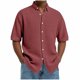 thumbnail image 2 of Blusa y camisa de manga corta con cuello vuelto para hombre, color liso, informal, a la moda, de manga corta, con cuello vuelto y botones, blusa de poliéster para hombre., 2 of 6