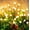 8packs, variant on Solar Lights Outdoor Waterproof, 2 Packs 16LED, Solar Garden, Patio, Garden Decor, Patio Decor, Firefly Outdoor, Unique Gifts for Women, Gifts for Grandma