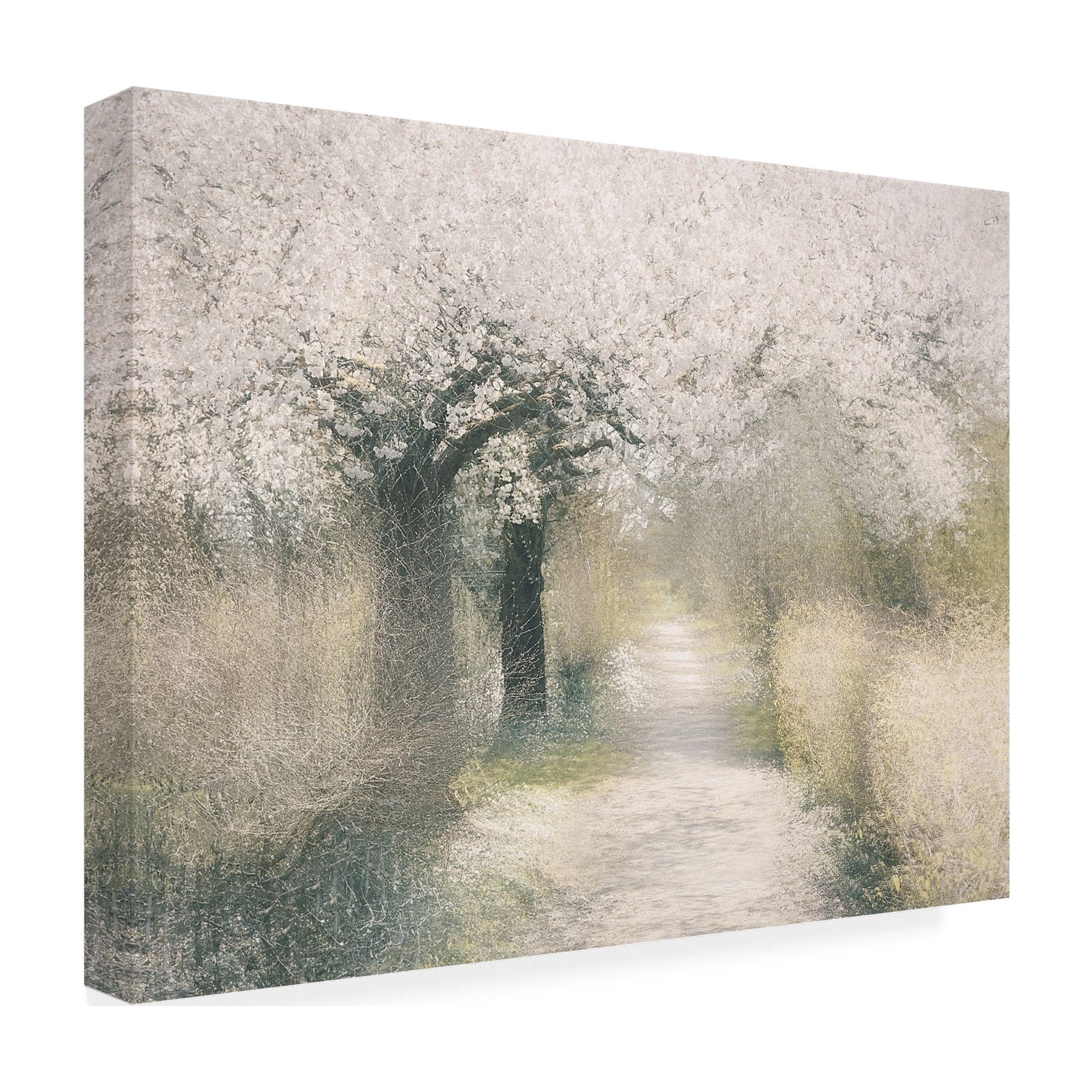 Trademark Fine Art Nel Talen  Cherry blossom Canvas Wall Art