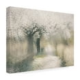 thumbnail image 4 of Trademark Fine Art Nel Talen  Cherry blossom Canvas Wall Art, 4 of 4