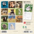 thumbnail image 2 of Baby Animals | 2026 7x14" (Hanging) Monthly Mini Wall Calendar | BrownTrout, 2 of 9