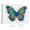 A, variant on XaaKee Canvas Wall Art Prints Vibrant Flutter 0001 Teal Splatters Orange Splash Modern Butterfly Abstract Painting Inner Framed 18*12Inch