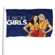 thumbnail image 1 of 2 Broke Girls Bandera impresa con temática, regalo perfecto para fanáticos, amigos y familiares, y adecuada para actividades al aire libre e interiores, decoraciones de fiesta. 90 cm × 150 cm., 1 of 6