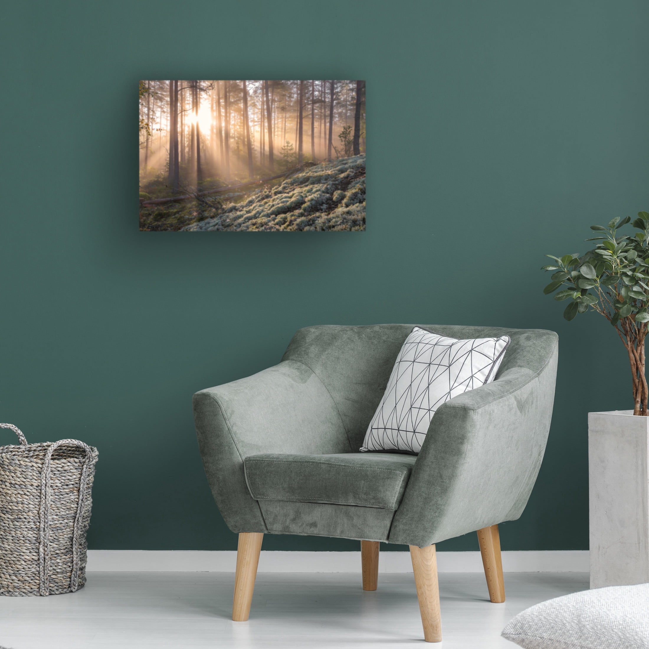 Canvas Wall Art - Christian Lindsten 'Fog In The Forest With White Moss In The Forground' Wall Art for Living Room, Bedroom, or Office Décor by Trademark Fine Art - 24 x 16 Inches
