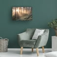 thumbnail image 2 of Canvas Wall Art - Christian Lindsten 'Fog In The Forest With White Moss In The Forground' Wall Art for Living Room, Bedroom, or Office Décor by Trademark Fine Art - 47 x 30 Inches, 2 of 4
