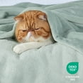 thumbnail image 5 of Cozy Comfort Fleece Blankets Twin Size Sage Green, 260GSM Lightweight Plush Fuzzy Cozy Soft, 59x79 inches, 5 of 6