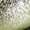 Gold, variant on Sage Women Wide Width Evening Glitter Dress Pumps With Bow GOLD 10