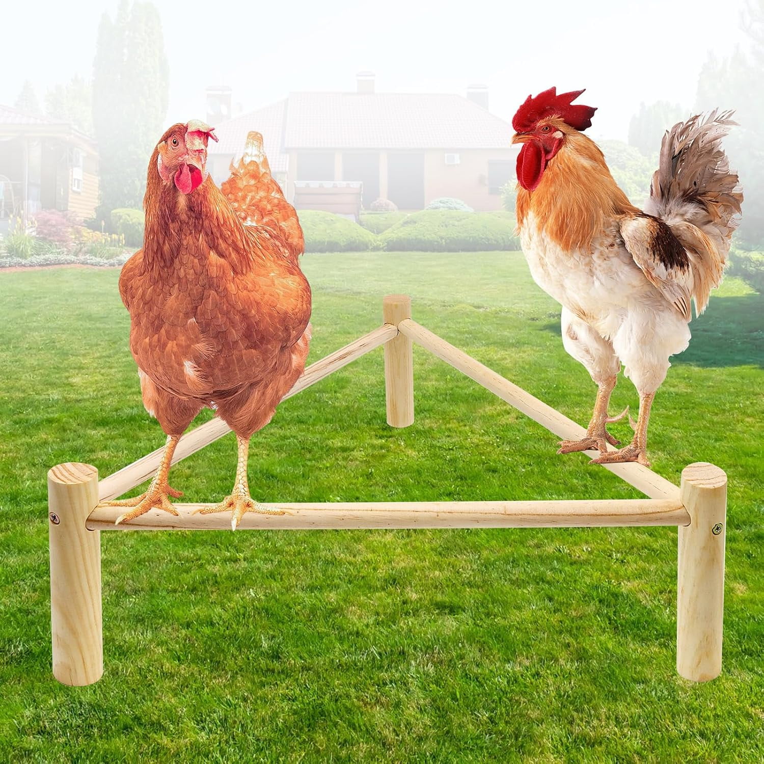 Extra Long Chicken Perch - 44.88 Inch Wooden Roosting Stand With Ground Stake