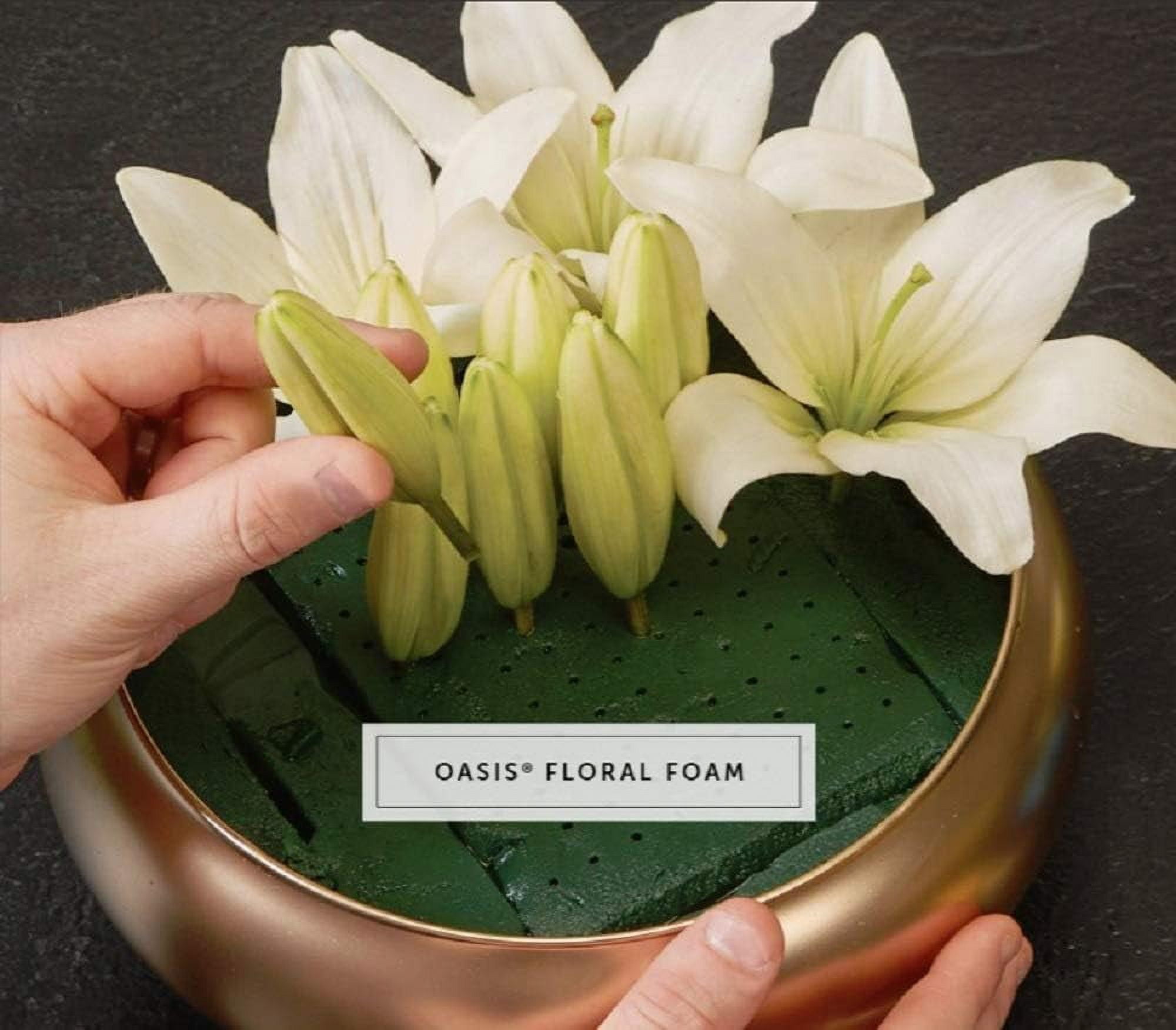 Oasis Green Foam Brick Craft Bases, 8 Count