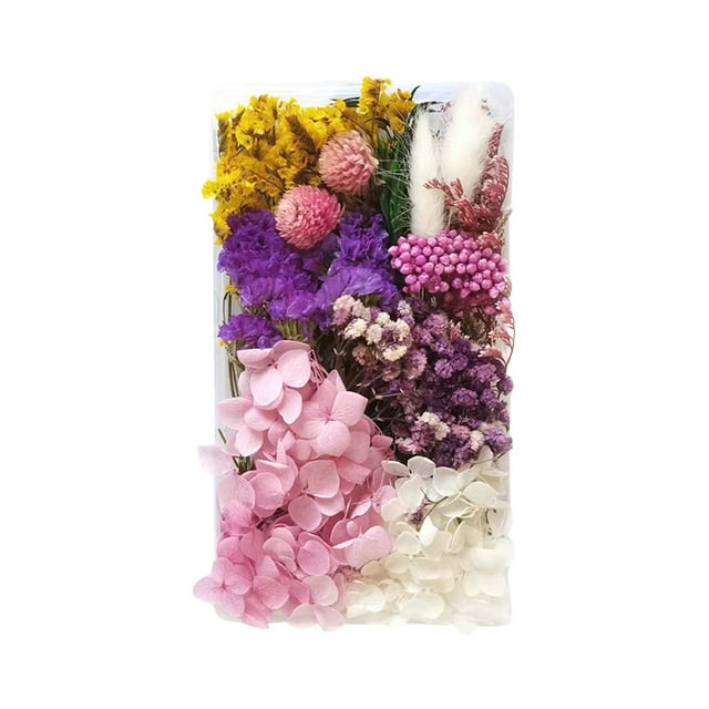 Xihbxyly Kit de Flores Secas, Flores Naturales Surtidas, Materiales para Manualidades, Flores Eternas para Enmarcar, Hacer Regalos, Decoración de San Valentín, 1 Juego de Flores Secas Variadas
