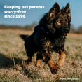 thumbnail image 4 of Valla enterrada para perros PetSafe YardMax recargable de 500 m, 4 of 7