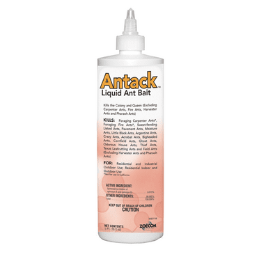Antack Liquid Ant Bait - Control of Numerous Ant Species - 16 fl oz Bottle by Zoecon