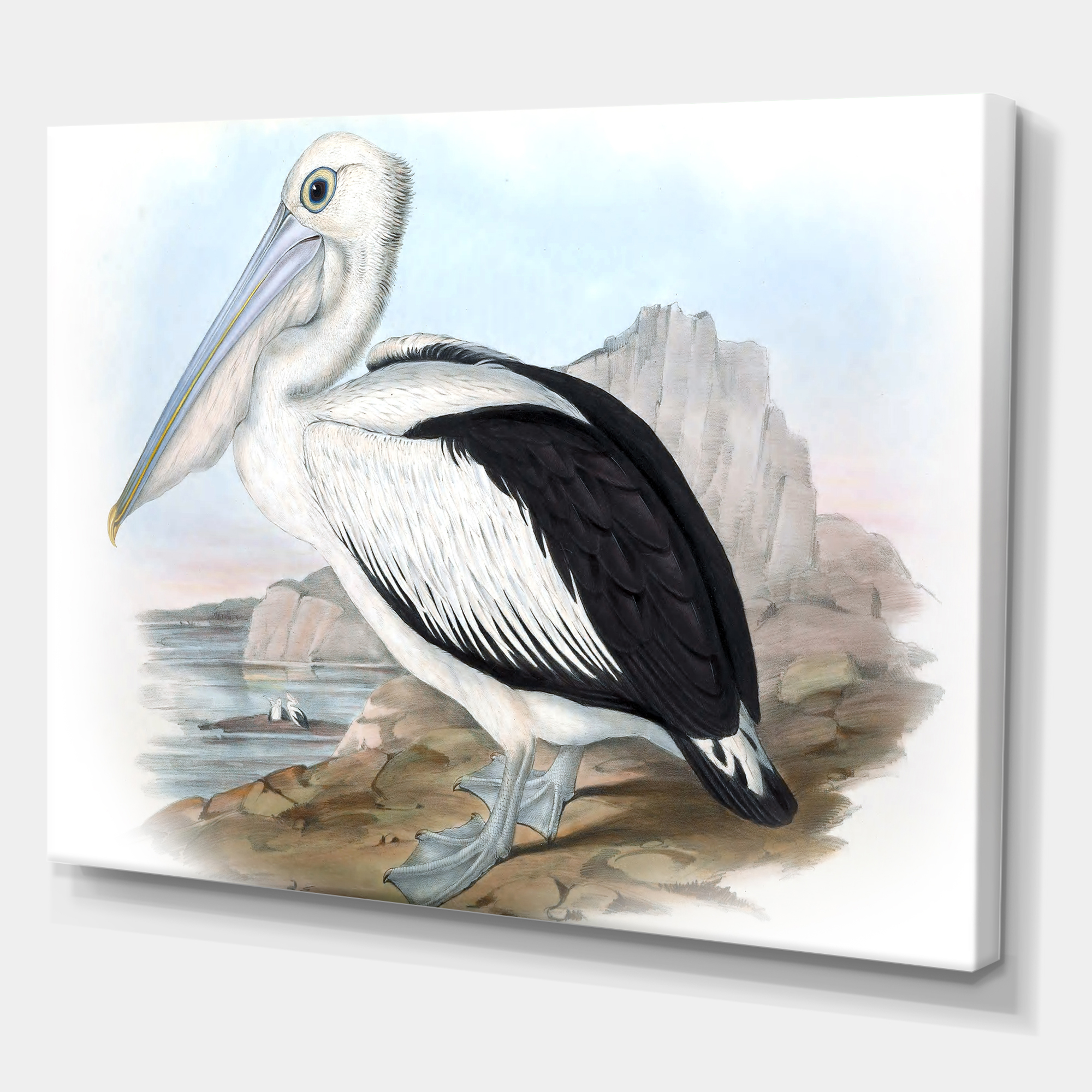 Designart ' Ancient Australian Birds VIII ' Traditional Canvas Wall Art Print