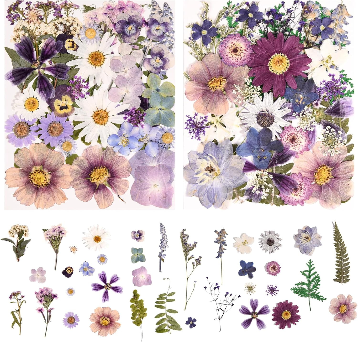 6 Pack 150PCS Real Pressed Dried Flowers Dry Leaves Craft Kit - Natural Dried Flowers for DIY Crafts, Resin Jewelry, Cards, Soap, CandleMaking, Nail Art, and Scrapbooking (Colorful)