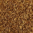 thumbnail image 3 of KAYTEE MEALWORMS POUCH 7 OZ KT, 3 of 6