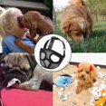 thumbnail image 4 of Dog Muzzle With Short Snout Adjustable Breathable Mesh Muzzle For English French Bulldogs Anti-bite Chewing, 4 of 5