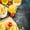 Various Italian Pasta, variant on Elephant Stock Salmon Sushi Rolls Wall Art - Vertical Multi Panel Canvas - Dining Room Wall Decor - Food And Drink Multi Panel - Beige And Orange Decor - 14" x 23"
