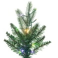 thumbnail image 2 of Vickerman 6.5' x 40" Balsam Spruce Slim Tree, 850 Warm White Low Voltage 3MM LED Lights., 2 of 5