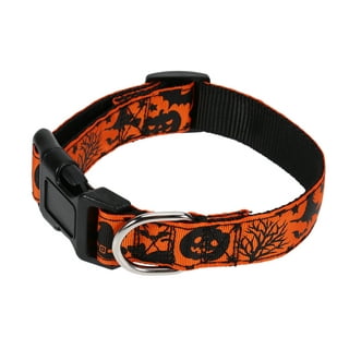 Metallic Halloween Bats Pet Collar – Dog Collar Fancy