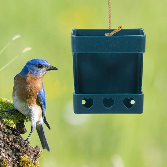 BESTYASH Bird Feeding Cup Chick Food Container PP Material Spill-Proof Bird Cage Accessory 1 Set