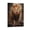 Frame-style, variant on Christian Wall Art Lion of Judah Vintage Canvas Painting Print Lion Picture Poster Painting On Canvas Wall Art Poster Scroll Picture Print Living Room Walls Decor Home Posters 24x36inch(60x90cm)
