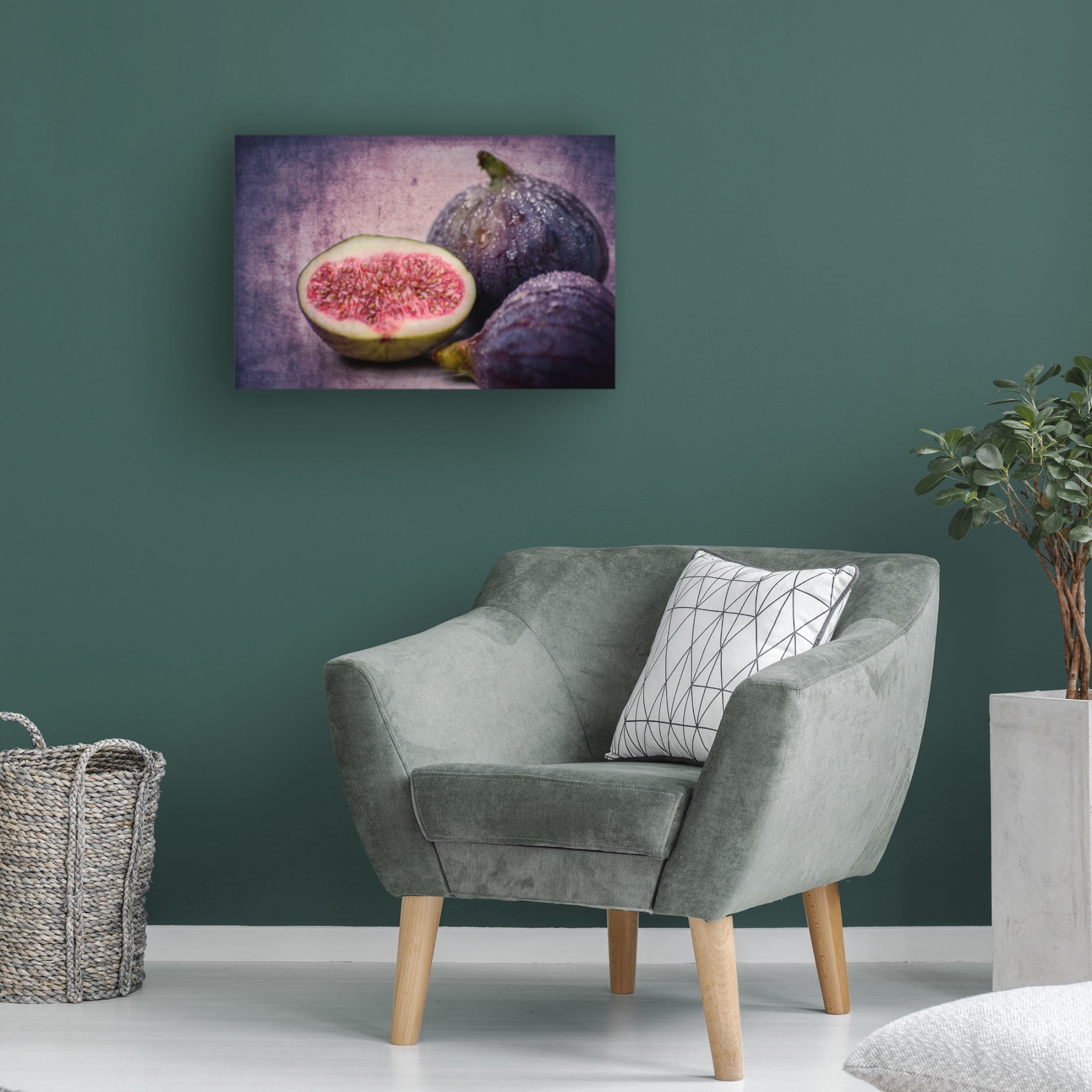 Canvas Wall Art - Hannes Cmarits 'Figs' Wall Art for Living Room, Bedroom, or Office D?cor by Trademark Fine Art - 24 x 16 Inches