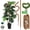 2 Pack, variant on Moss Pole for Climbing Plants, 2 Pack 23.6 Inch Bendable Plant Support Stakes with Coco Coir & Jute Rope, Indoor Trellis for Monstera, Pothos, Philodendron Houseplants