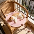 thumbnail image 4 of Leodye 1PCS Scratching Mat Rope Woven Pet Play Sleeping Mat with Toy Ball Scratch Resistive Washable for Grooming -19.68x19.68 in, 4 of 6