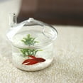 thumbnail image 3 of 2X Mushroom-shaped Hanging Glass Planter Vase Fish Tank Terrarium Container Home Garden Decor, 3 of 6