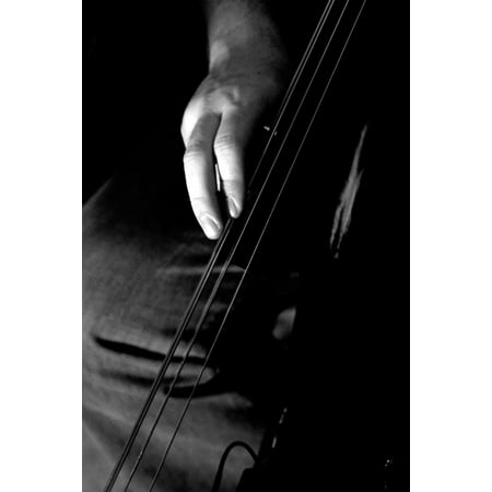 Framed Art for Your Wall Strings Music Jazz Bass Stand Up Black and White 10x13