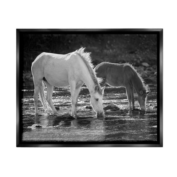Stupell Industries Horses Drinking at Stream Animals & Insects Photography Black Floater Framed Canvas Art Print Wall Art, 21 x 17