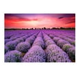 thumbnail image 2 of Adults Puzzles 150 Piece Large Puzzle Game Interesting Toys Personalized Gift, 2 of 2