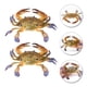thumbnail image 5 of FELTECHELECTR 2 modelos de cangrejos de imitación, juguetes con forma de cangrejo, juguetes de cangrejos artificiales, 5 of 7